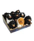 Fantastic Beasts 2 Plush Figures Baby Nifflers 15 cm  (9)