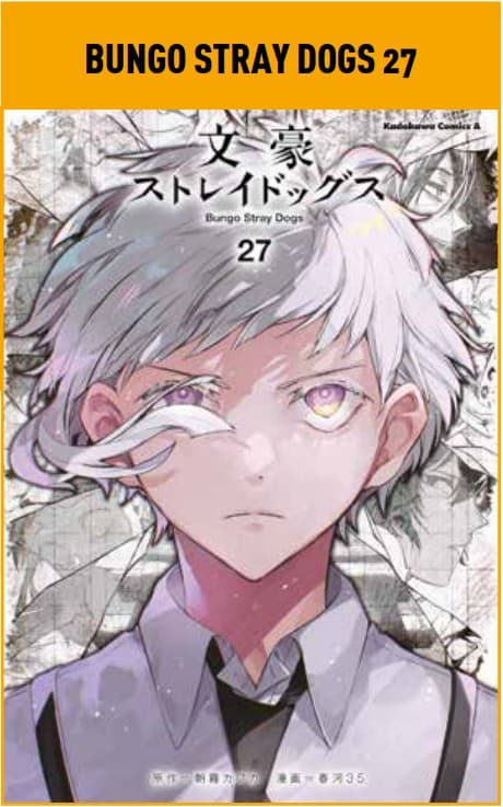 Bungo Stray Dogs 27 - Panini Comics - Italiano