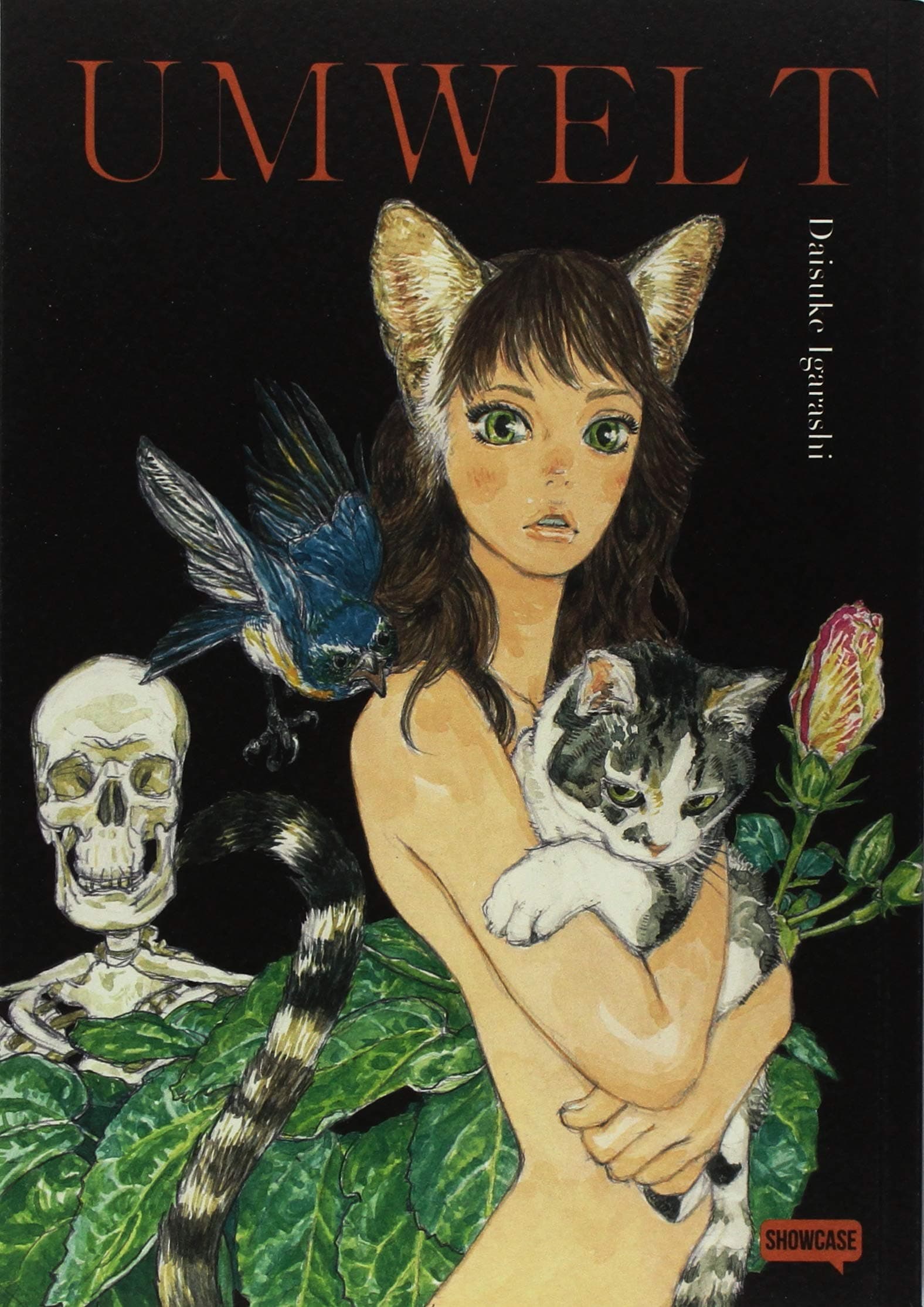 Umwelt - Showcase - Dynit - Italiano