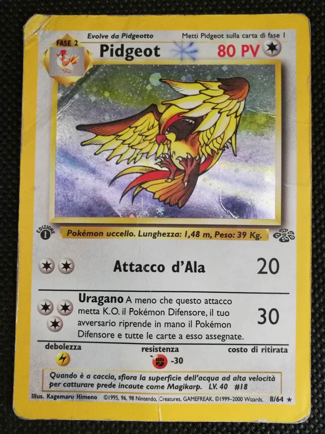 Pidgeot - 1 Edizione - Jungle 8/64 - Italiano- HOLO - Poor
