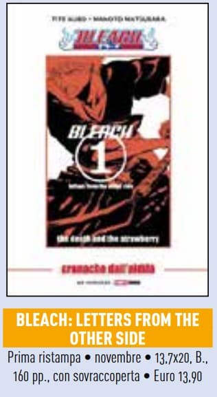 Bleach - Romanzo Cronache dall'Aldilà - Novel - Prima Ristampa - Panini Comics - Italiano