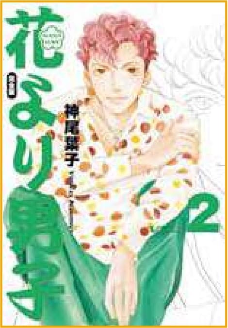 Hana Yori Dango - Ultimate Deluxe Edition 2 - Panini Comics - Italiano