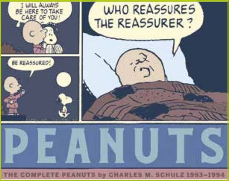 The Complete Peanuts Vol. 22 - 1993 / 1994 - Panini Comics - Italiano