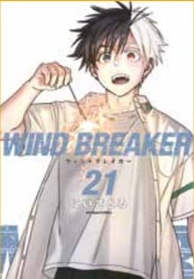Wind Breaker 21 - Panini Comics - Italiano