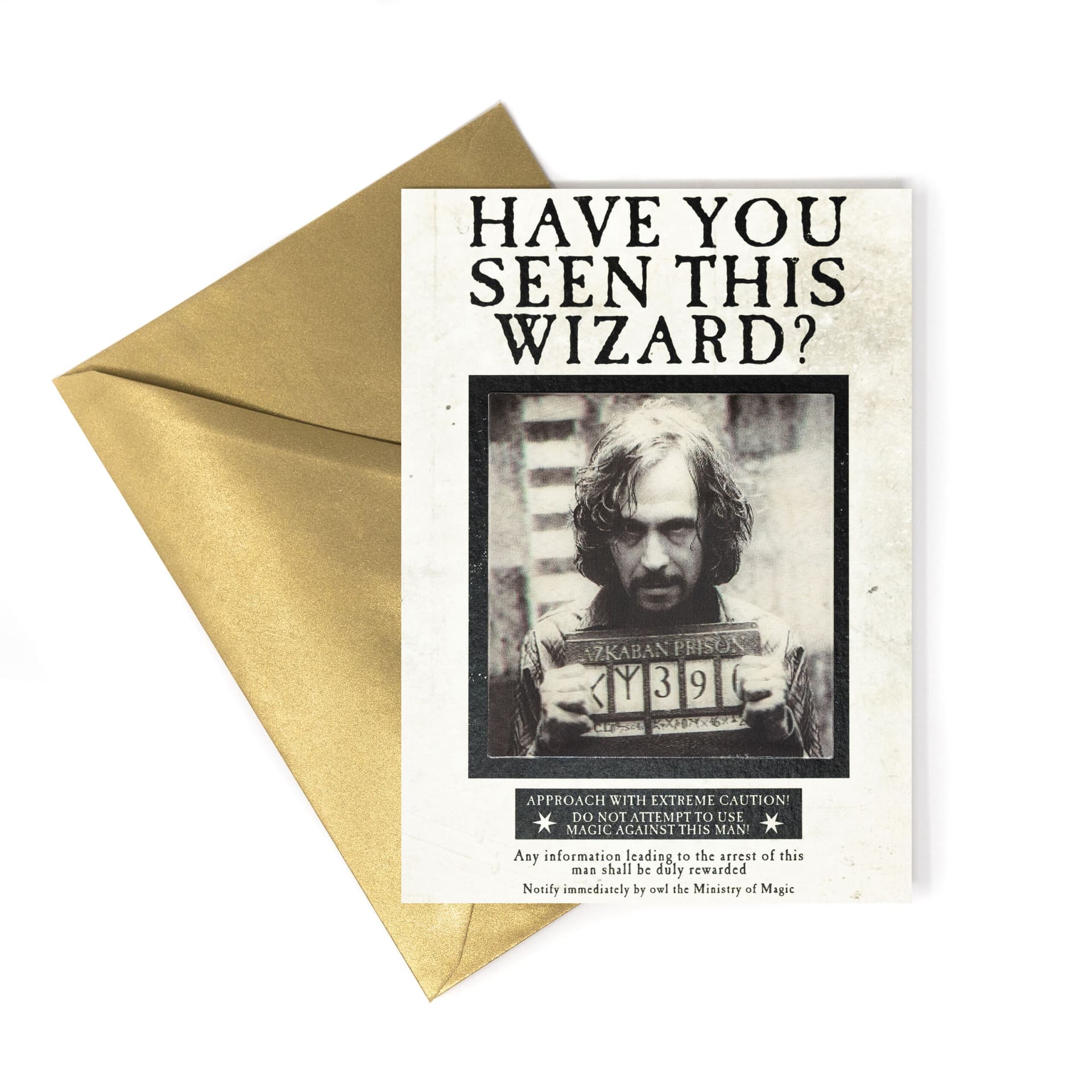 Harry Potter - Ministry of Magic Have You Seen This Wizard? Notecard - MinaLima