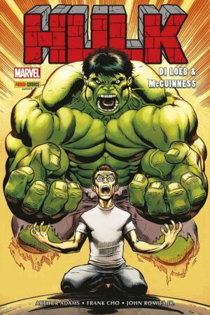 Hulk di Jeph Loeb & Ed McGuinness Volume Unico - Italiano