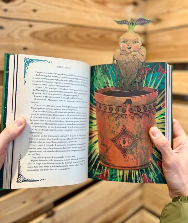 Harry Potter Vol. 2 - Harry Potter e la Camera dei Segreti - Edizione Papercut MinaLima - Salani - Italiano