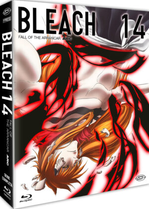 Bleach - Arc 14: Fall of the Arrancar - Episodi 266 / 291 - Anime - 4 Blu-Ray - First Press - Dynit - Italiano / Giapponese