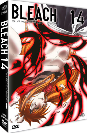 Bleach - Arc 14: Fall of the Arrancar - Episodi 266 / 291 - Anime - 4 DVD - First Press - Dynit - Italiano / Giapponese
