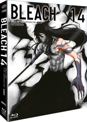 Bleach - Arc 14: Fall of the Arrancar - Episodi 292 / 316 - Anime - 4 Blu-Ray - First Press - Dynit - Italiano / Giapponese