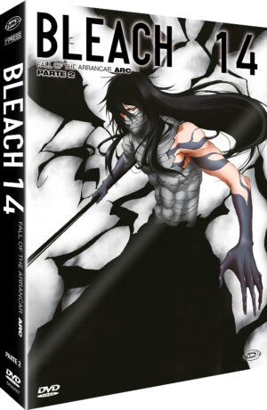 Bleach - Arc 14: Fall of the Arrancar - Episodi 292 / 316 - Anime - 4 DVD - First Press - Dynit - Italiano / Giapponese